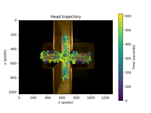 Head trajectory